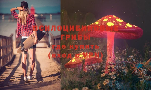 mdpv Верхний Тагил