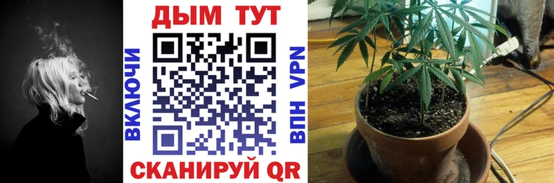 купить   Серпухов  Шишки марихуана индика 
